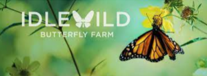 Idlewild Butterfly Farm Logo